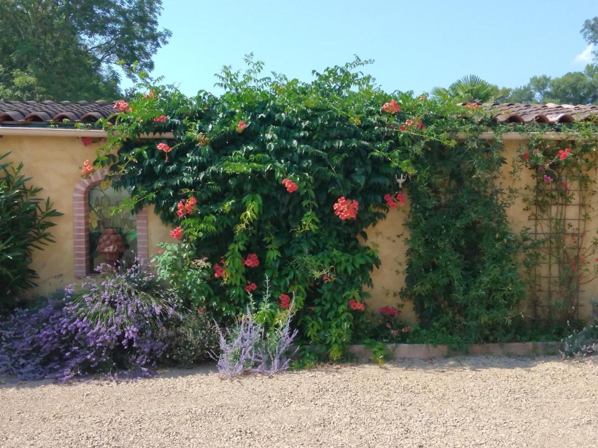 Albi A Proximite, Maison D'Hotes Les Oliviers Rosieres  Exterior foto
